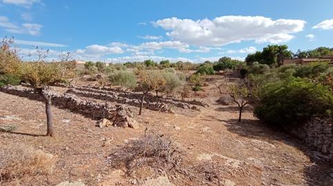 Foto 4 de Residencial en venda a Puntiró,  Palma de Mallorca
