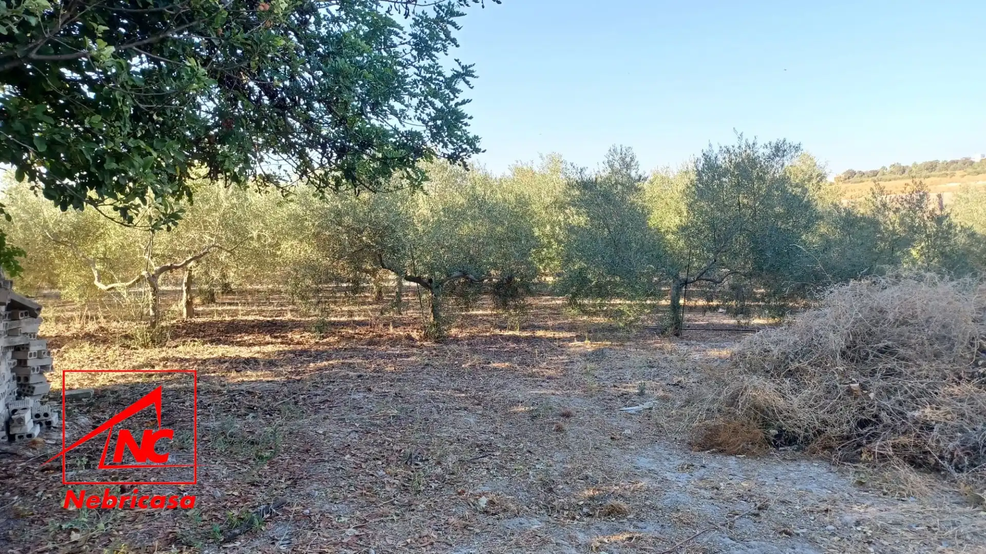 Lands and plots for sale in El Cuervo de Sevilla, imagen 7
