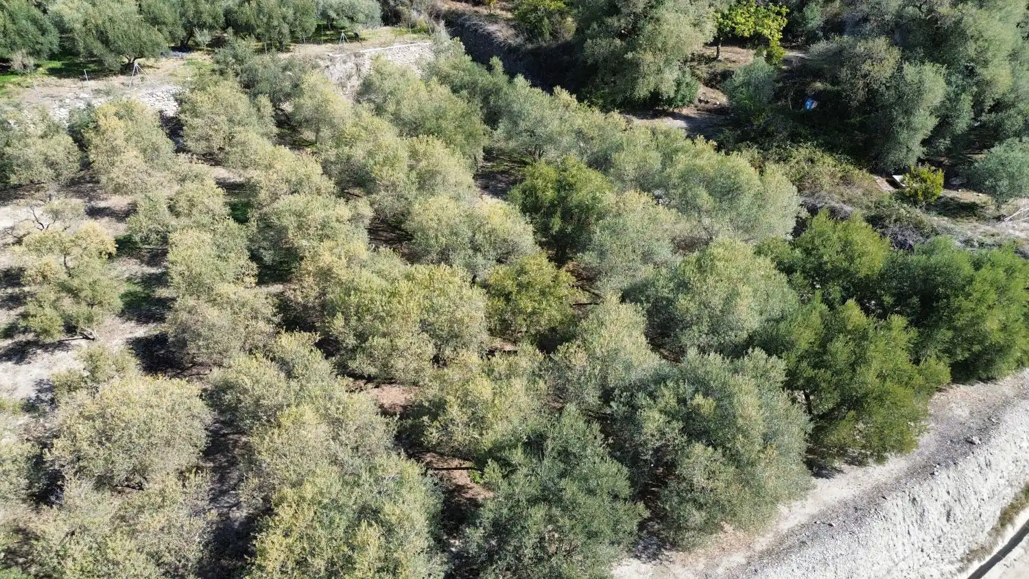 Casa rústica en venda a Órgiva, imagen 2