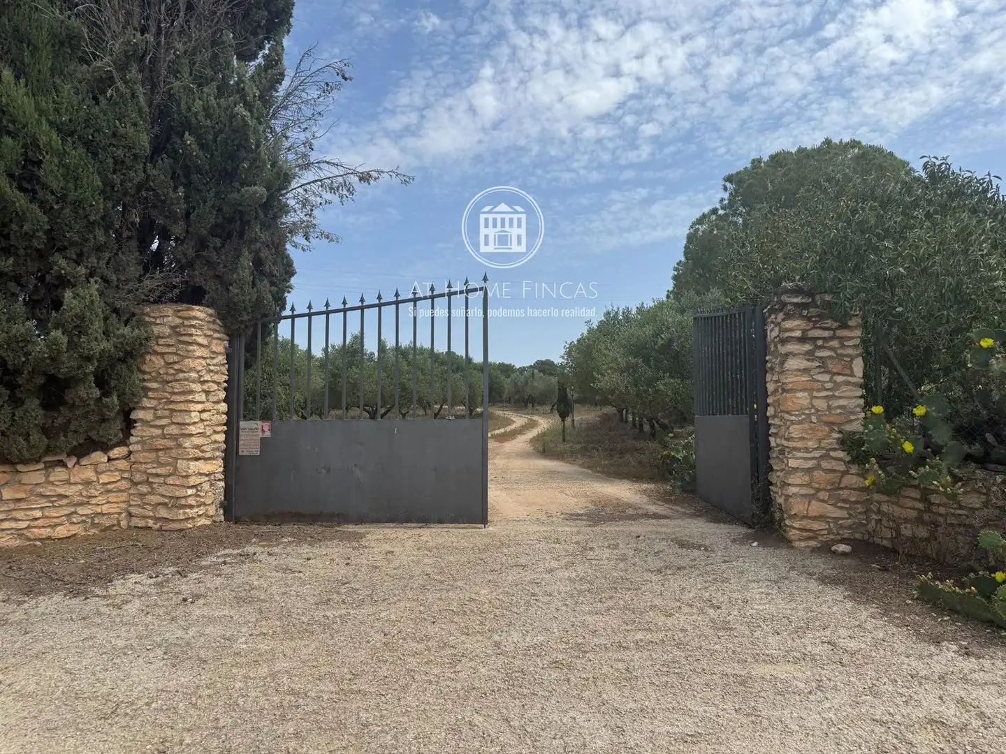 Villa mit Pool zum Verkauf in POLíGONO 7 PARAJE 65 JUNTO A CAL DENTISTA, imagen 3