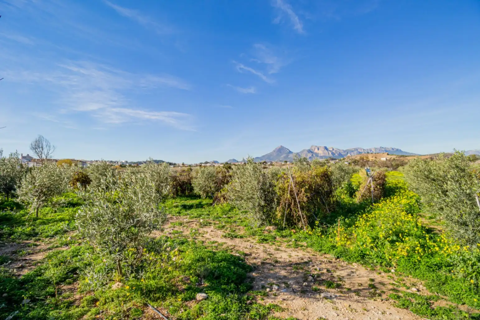 Grundstücke und Bauplätze zum Verkauf in Altea ciudad, imagen 7