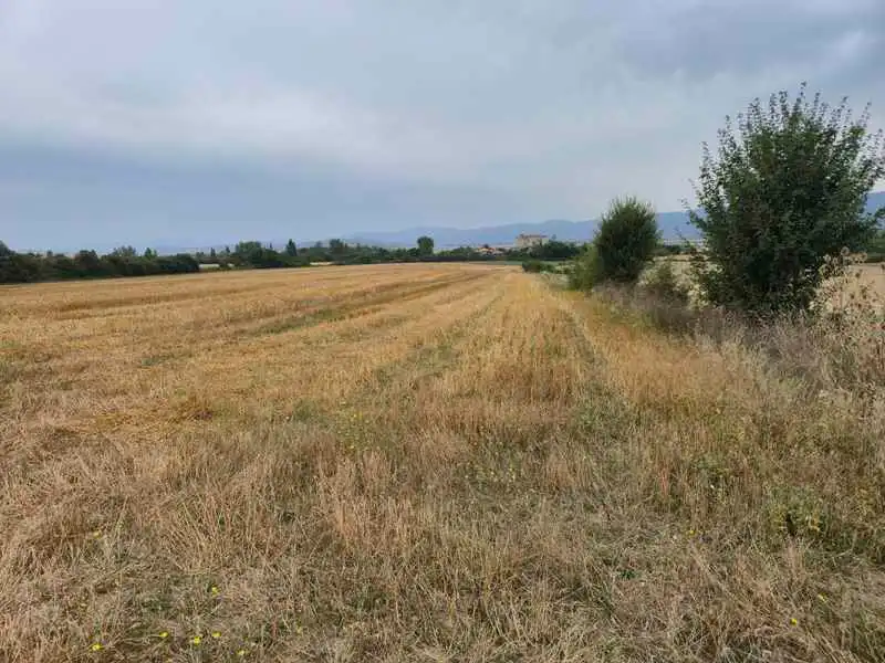 Terreny rústic en venda a San Millán / Donemiliaga, imagen 2