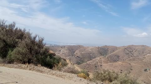 Foto 2 de Finca rústica en venta en Diseminado el Pago Rio, 1165, Torrox Pueblo, Torrox