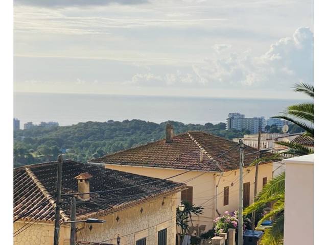 Casa adosada en Alquiler en Carrer del rector vives en Génova
