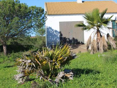 Jardí de Casa o xalet en venda en Villablanca amb Terrassa