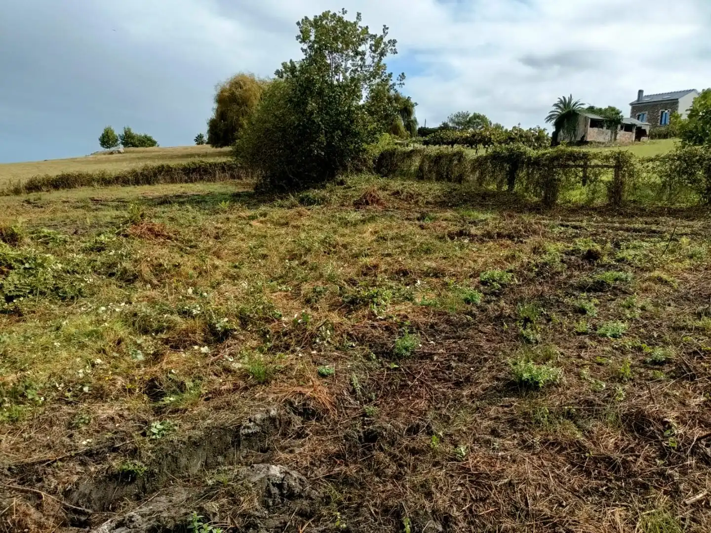 Terrain résidentiel à vendre à TC-5 8, imagen 6