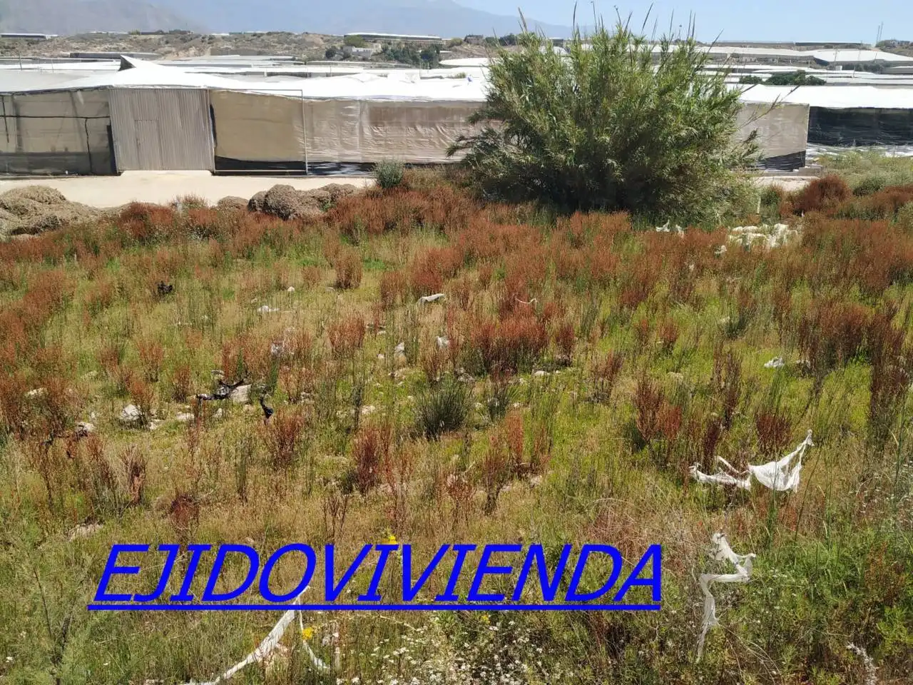 Terreni e lotti in vendita a Balerma, imagen 3