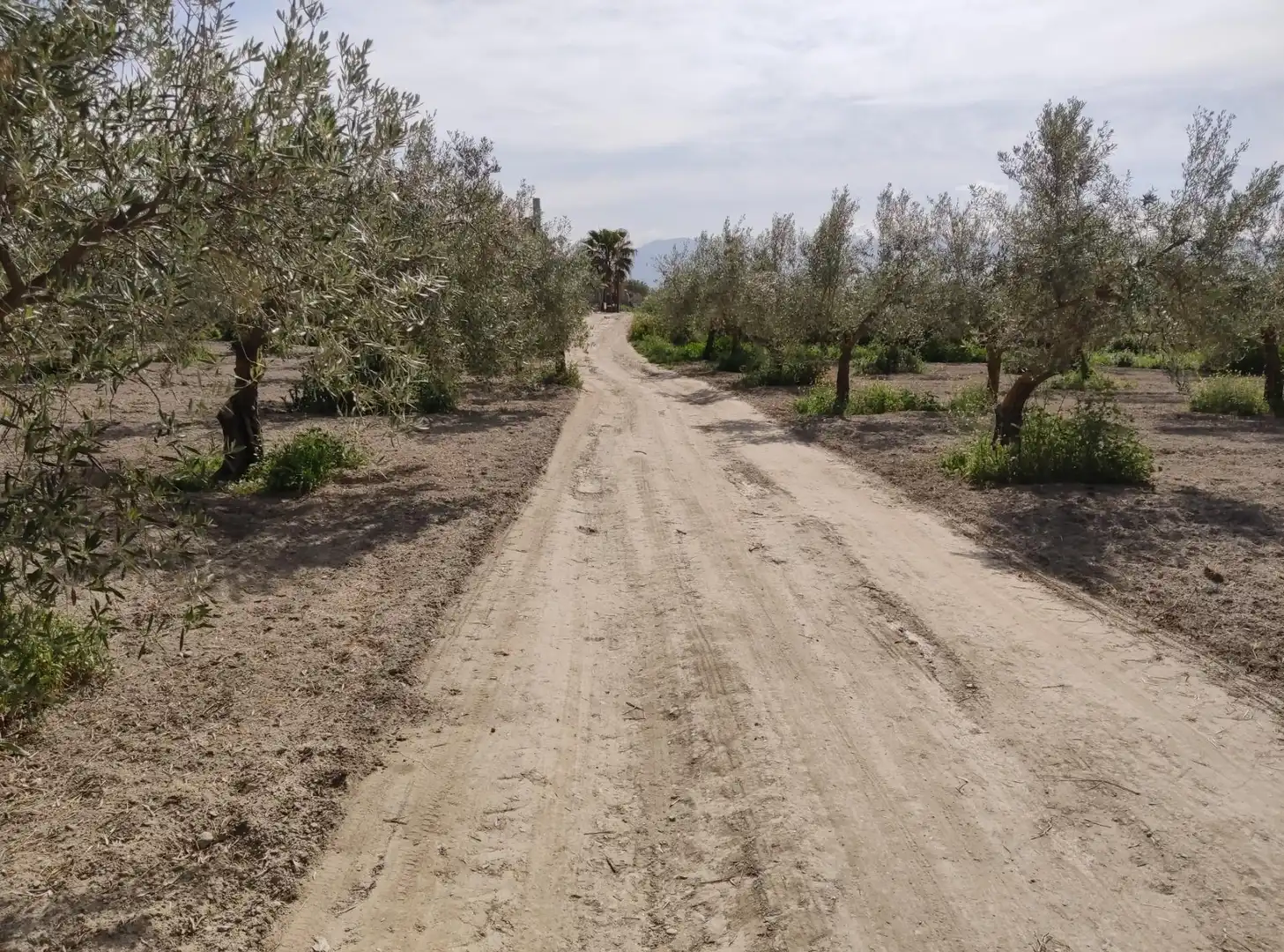 Terreni e lotti in vendita a Camino Ramal Corpas 2, imagen 8
