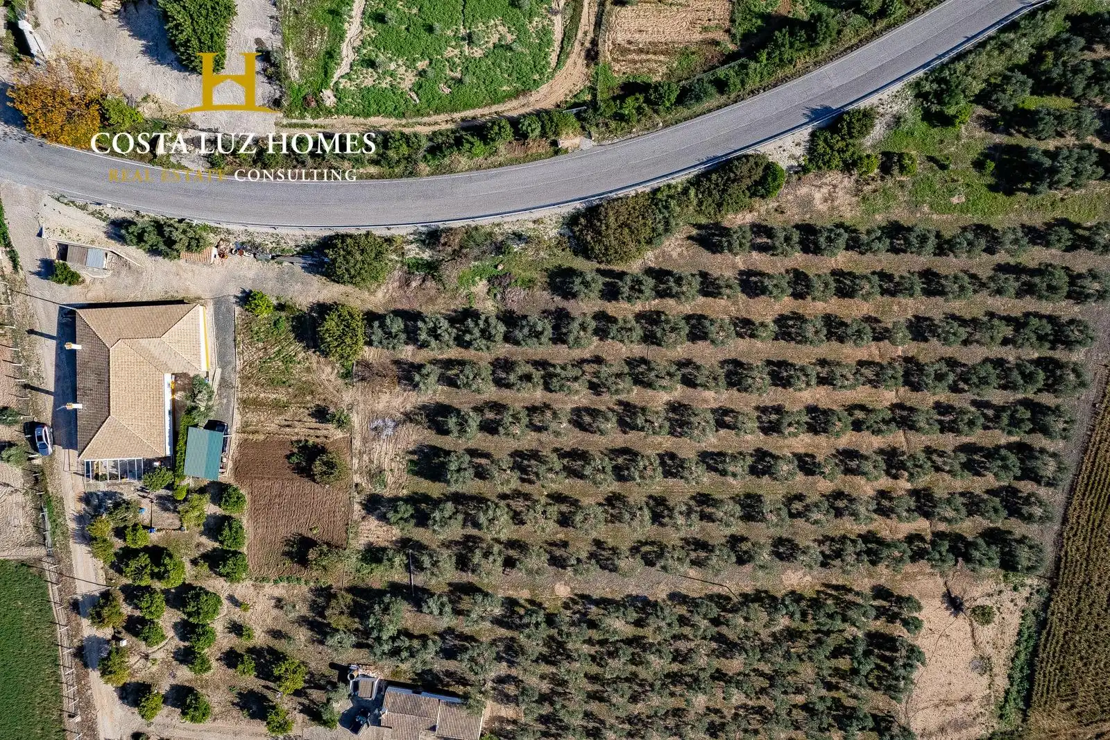 Casa con jardín en venta en Arcos de la Frontera, imagen 4
