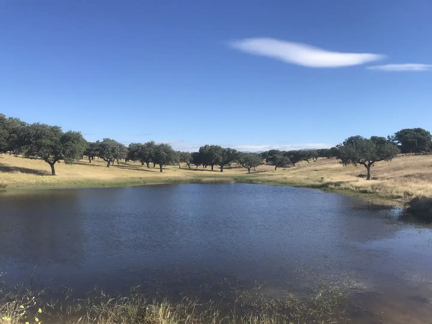 Terreni e lotti in vendita a Malpartida de Plasencia, imagen 4