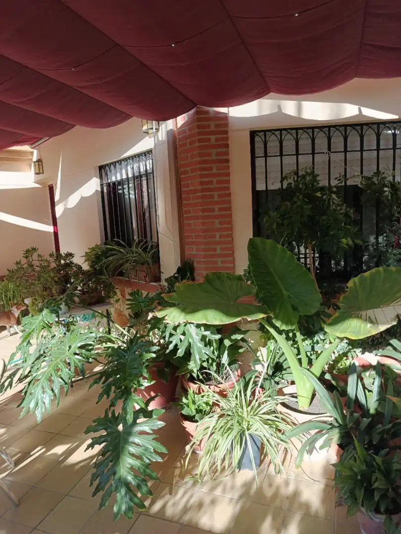 Detached homes for sale in La Guardia de Jaén  with Air Conditioner, Heating and Terrace