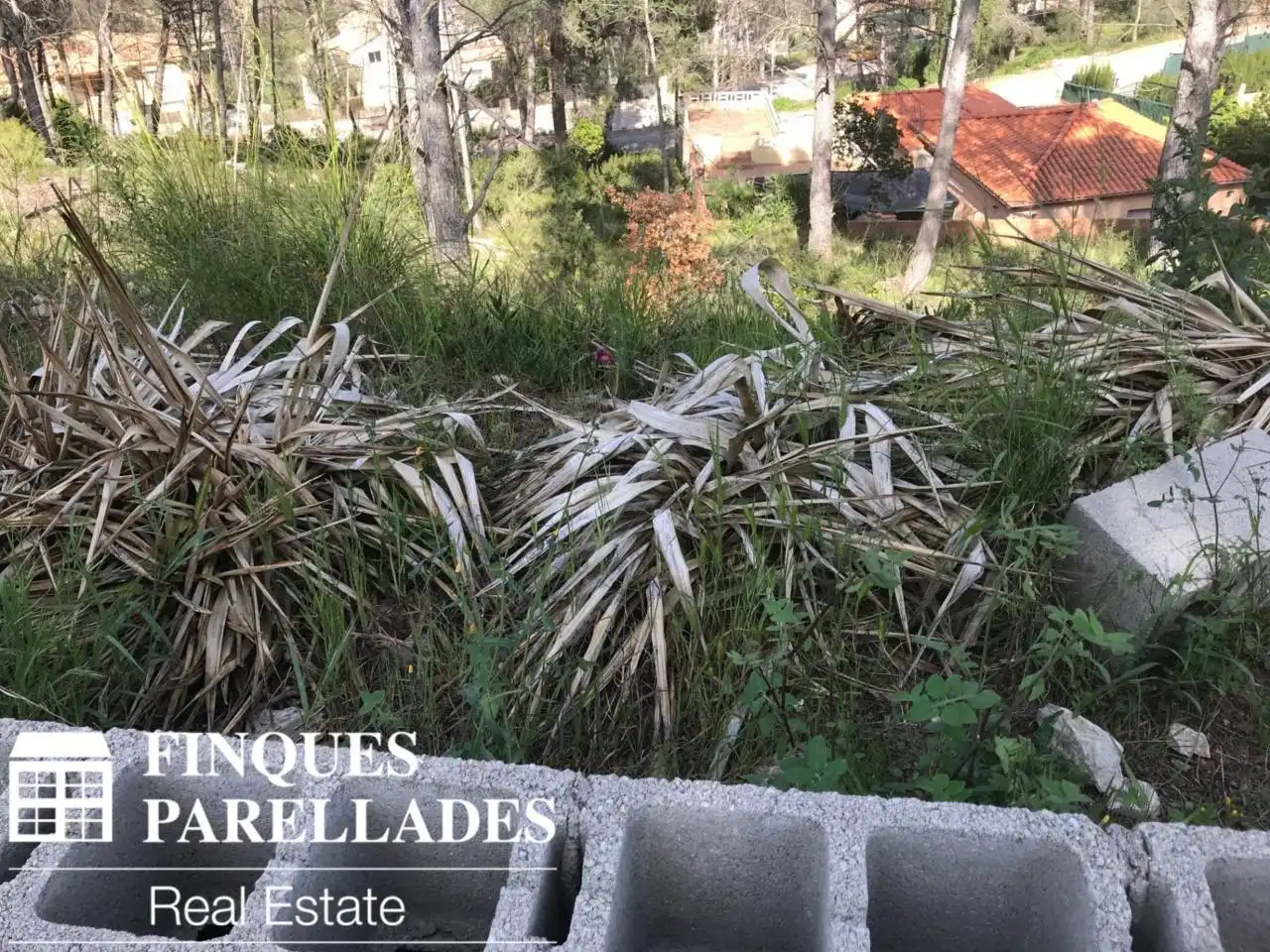 Rural land for sale in Olivella, imagen 2