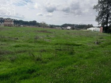 Terreno rustico in vendita a Almonte ciudad