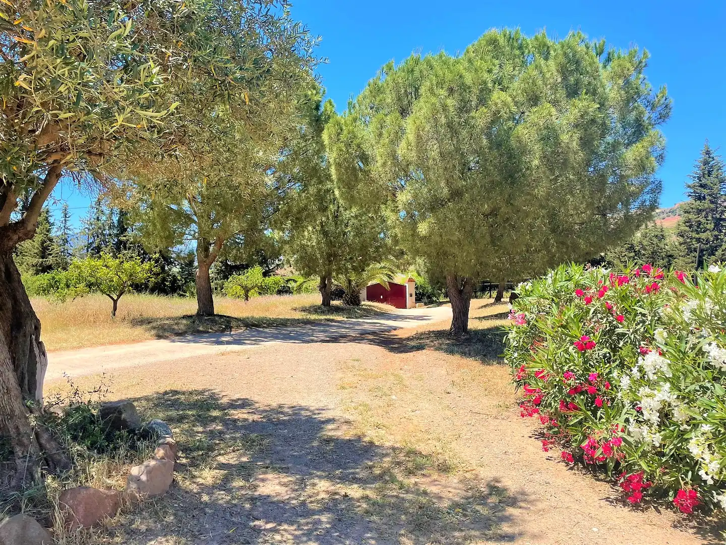 Trastero de alquiler en El Cortijuelo