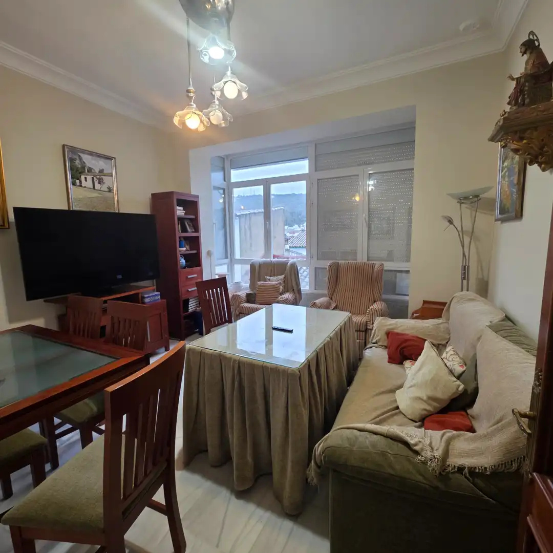 Living room of Detached homes for sale in Ubrique  with Terrace and Balcony