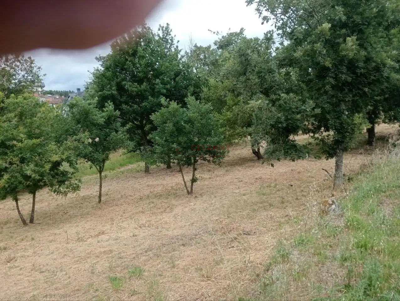 Terreni e lotti in vendita a San Cibrao das Viñas, imagen 5