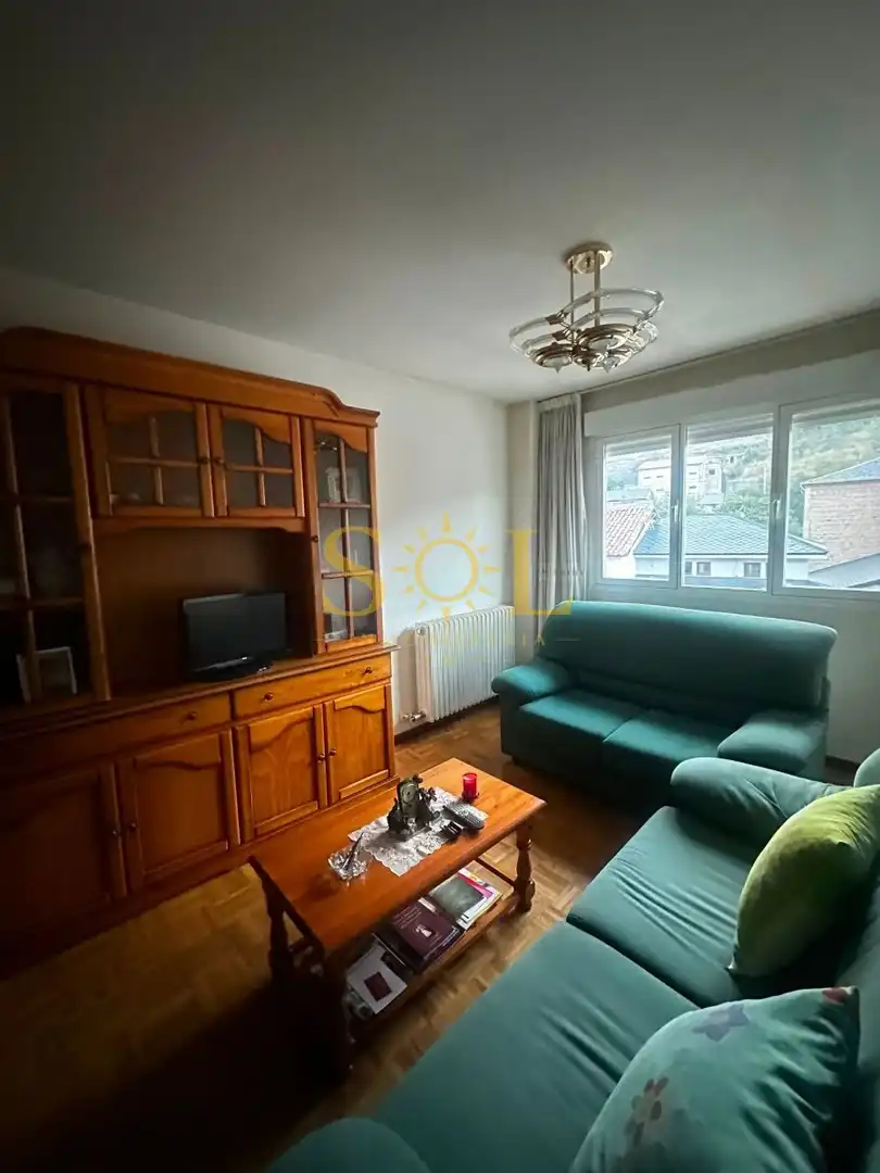 Sala de estar de Piso en venta en La Pola de Gordón  con Calefacción, Parquet y Amueblado