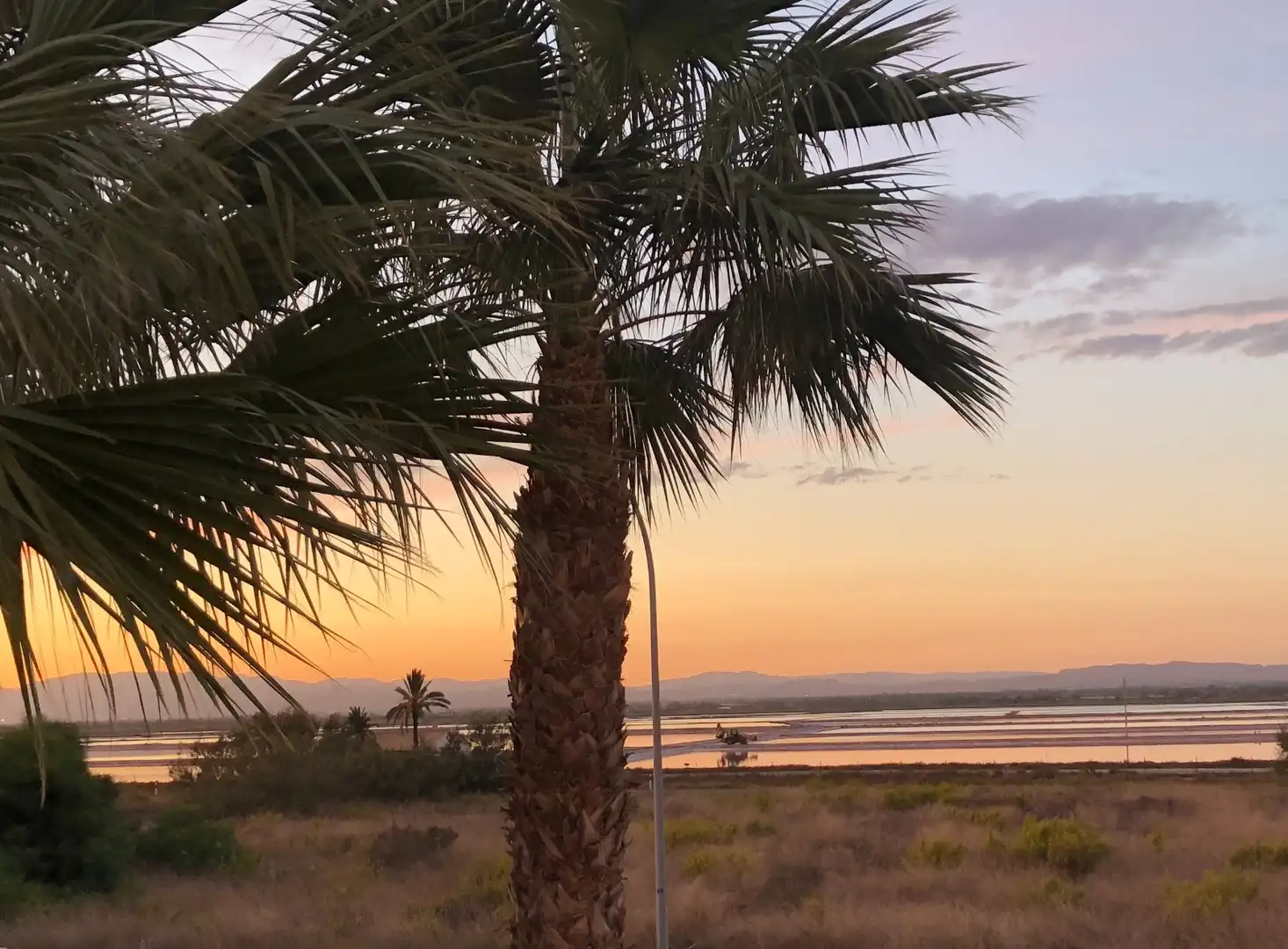 Mini appartamento con piscina in vendita a Santa Pola ciudad, imagen 28