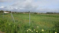 Land for sale in Trigueros