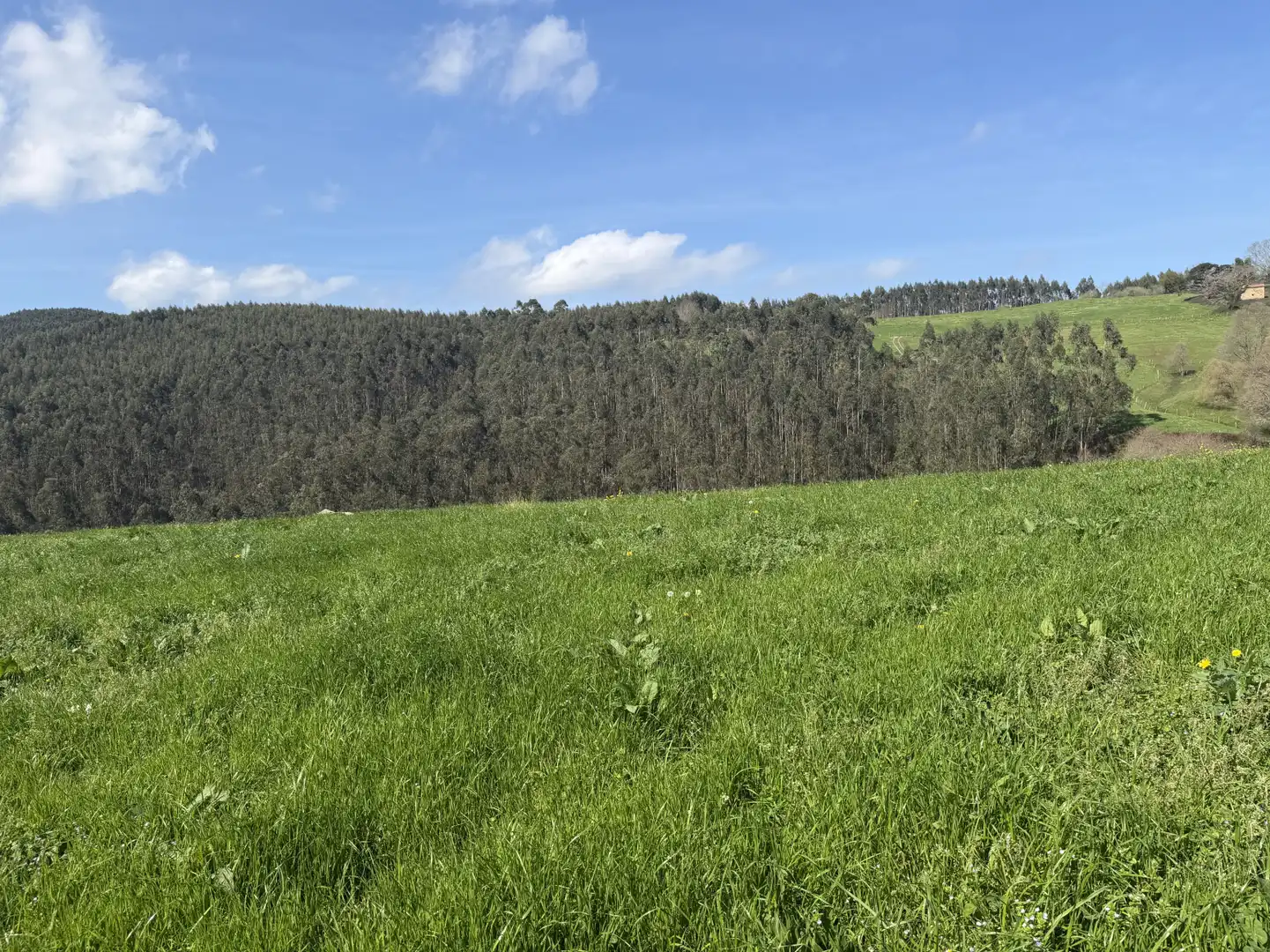 Casa o xalet en venda en Hazas de Cesto