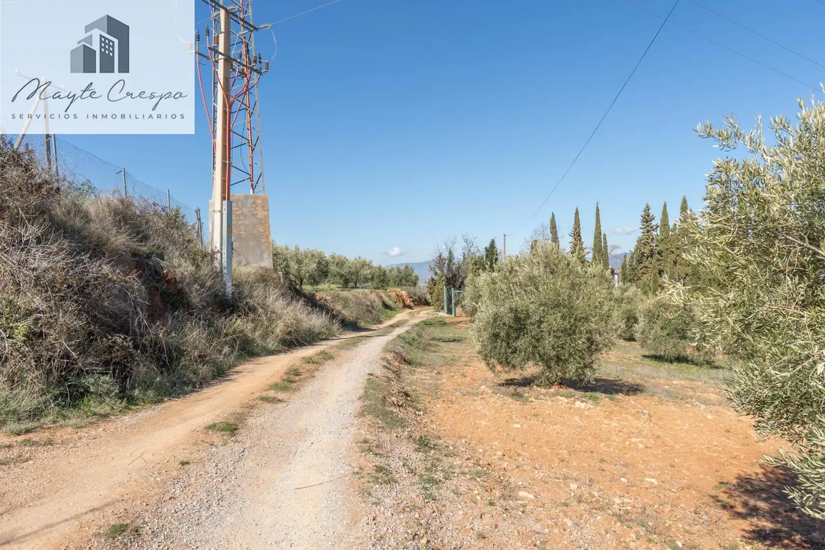 Terreni e lotti in vendita a Cogollos de la Vega, imagen 10