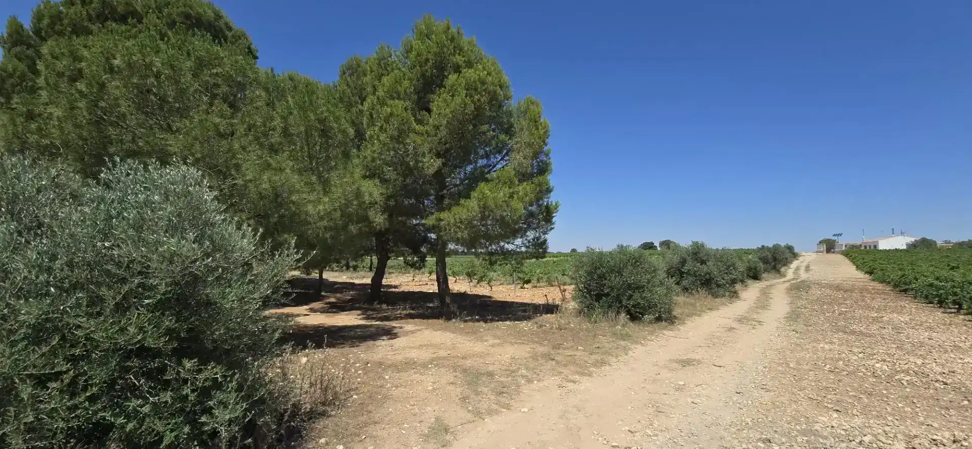 Finca rústica en venda en Villarrobledo amb Piscina