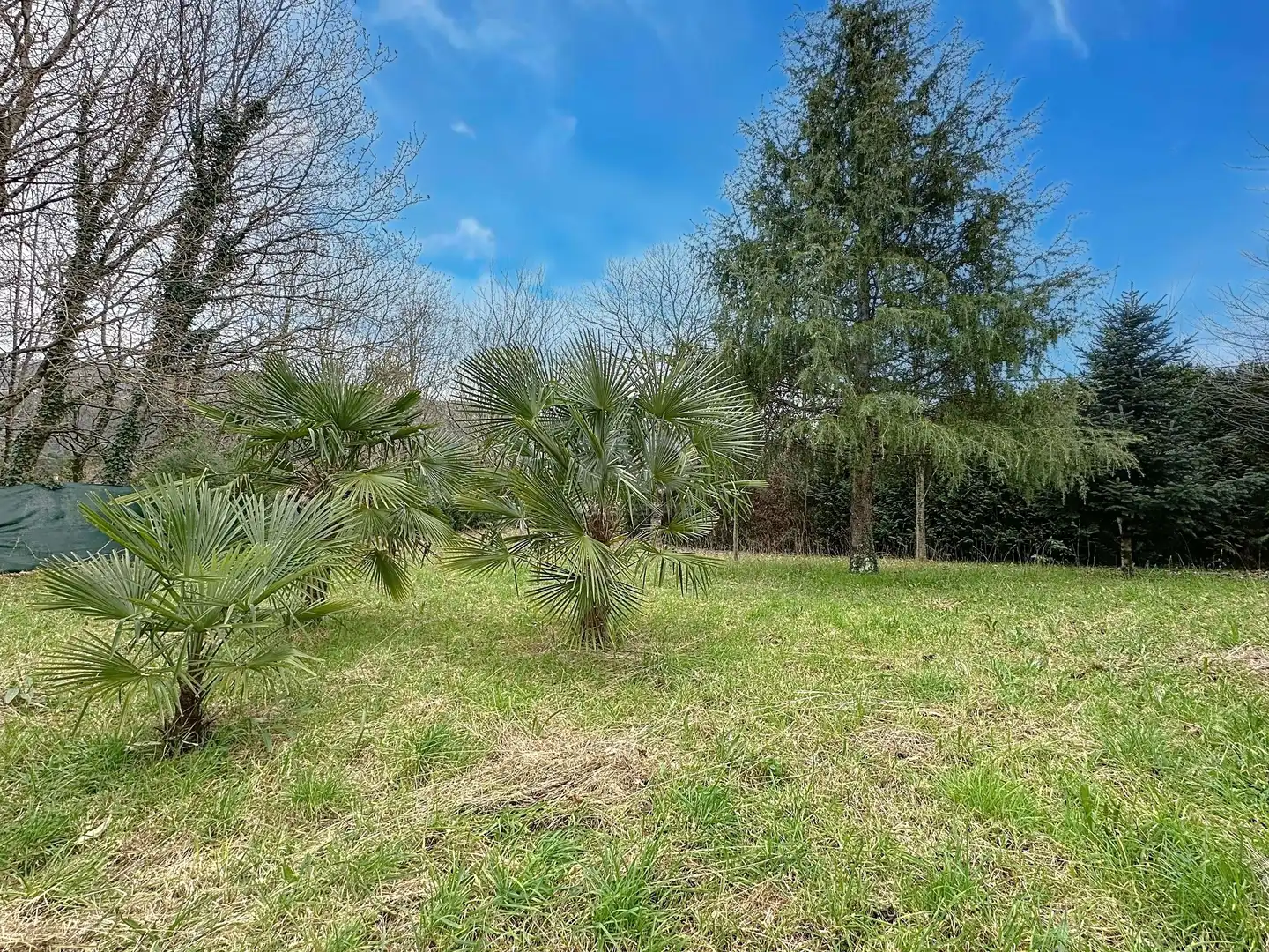 Casa o chalet en venta en Campo Lameiro