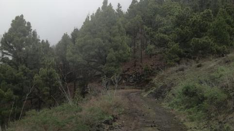 Photo 4 of Land for sale in Las Manchas Polígono 53, El Paso, Santa Cruz de Tenerife