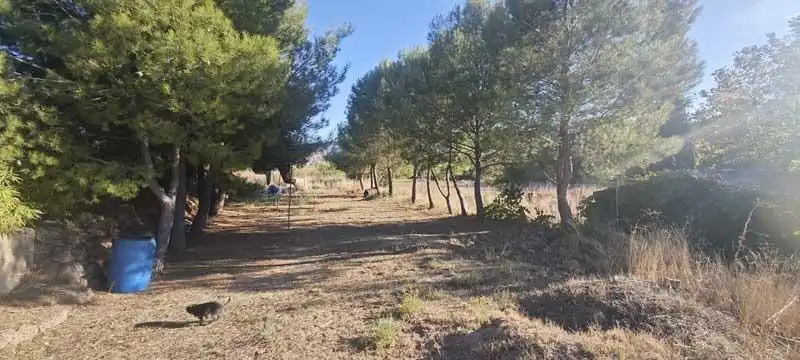 Casa o chalet en venta en Camino DISEMINADOS, Torralba de Ribota
