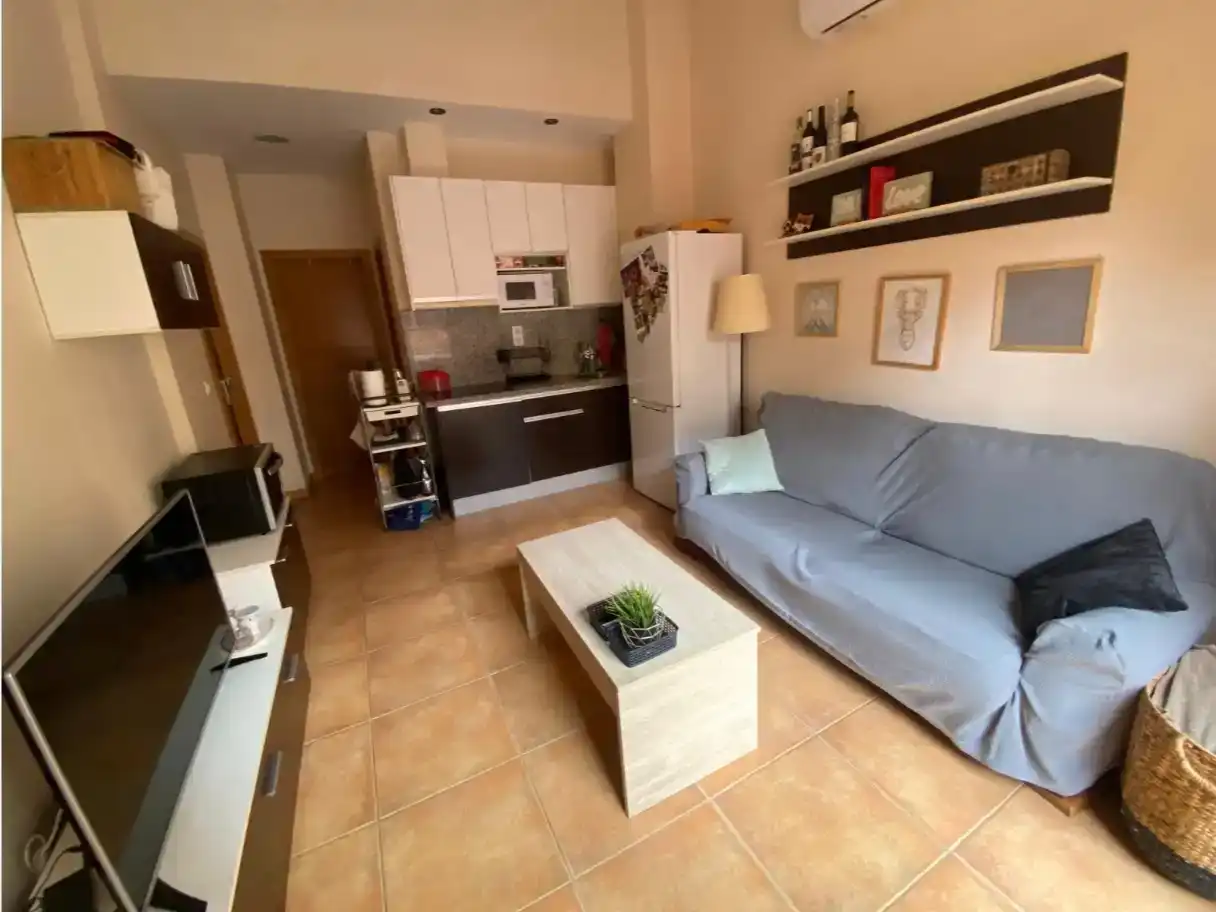 Sala d'estar de Planta baixa en venda en Alicante / Alacant amb Aire condicionat, Moblat i Balcó