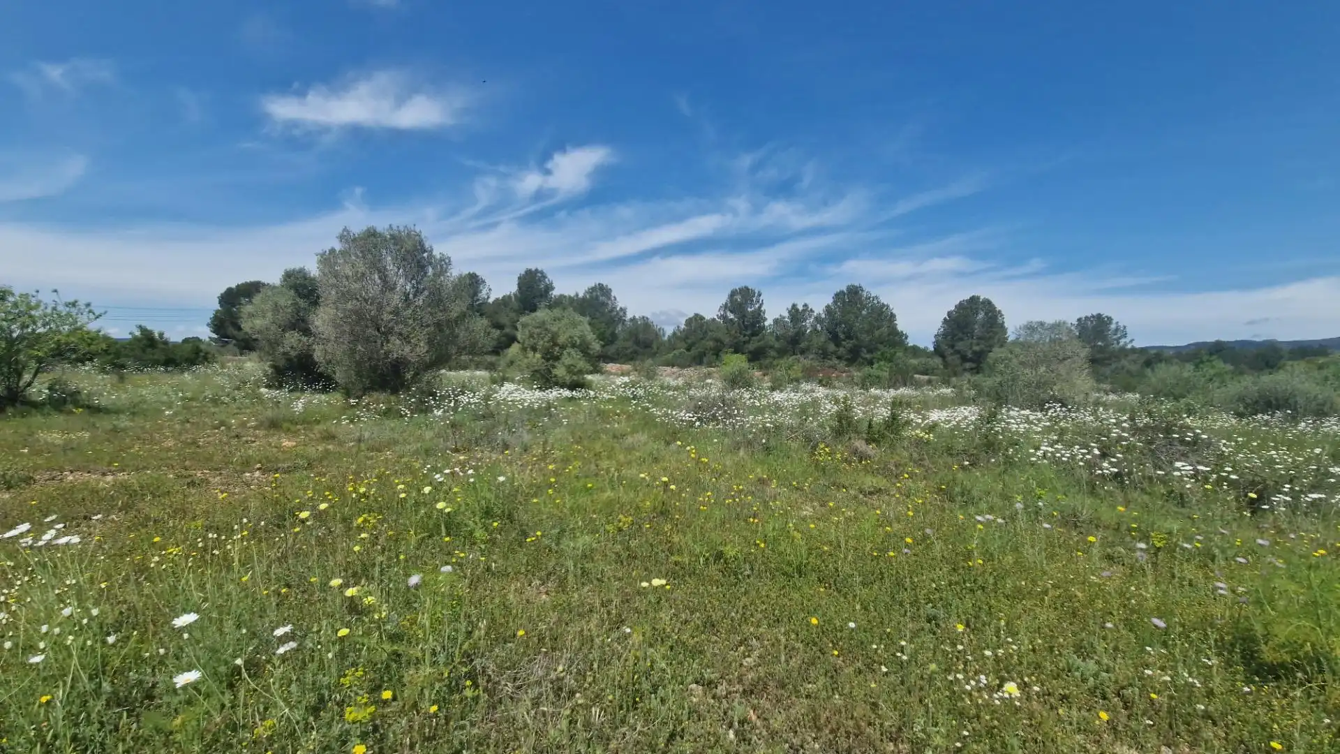 Terreno en venta en 43817, 17, El Pont d'Armentera