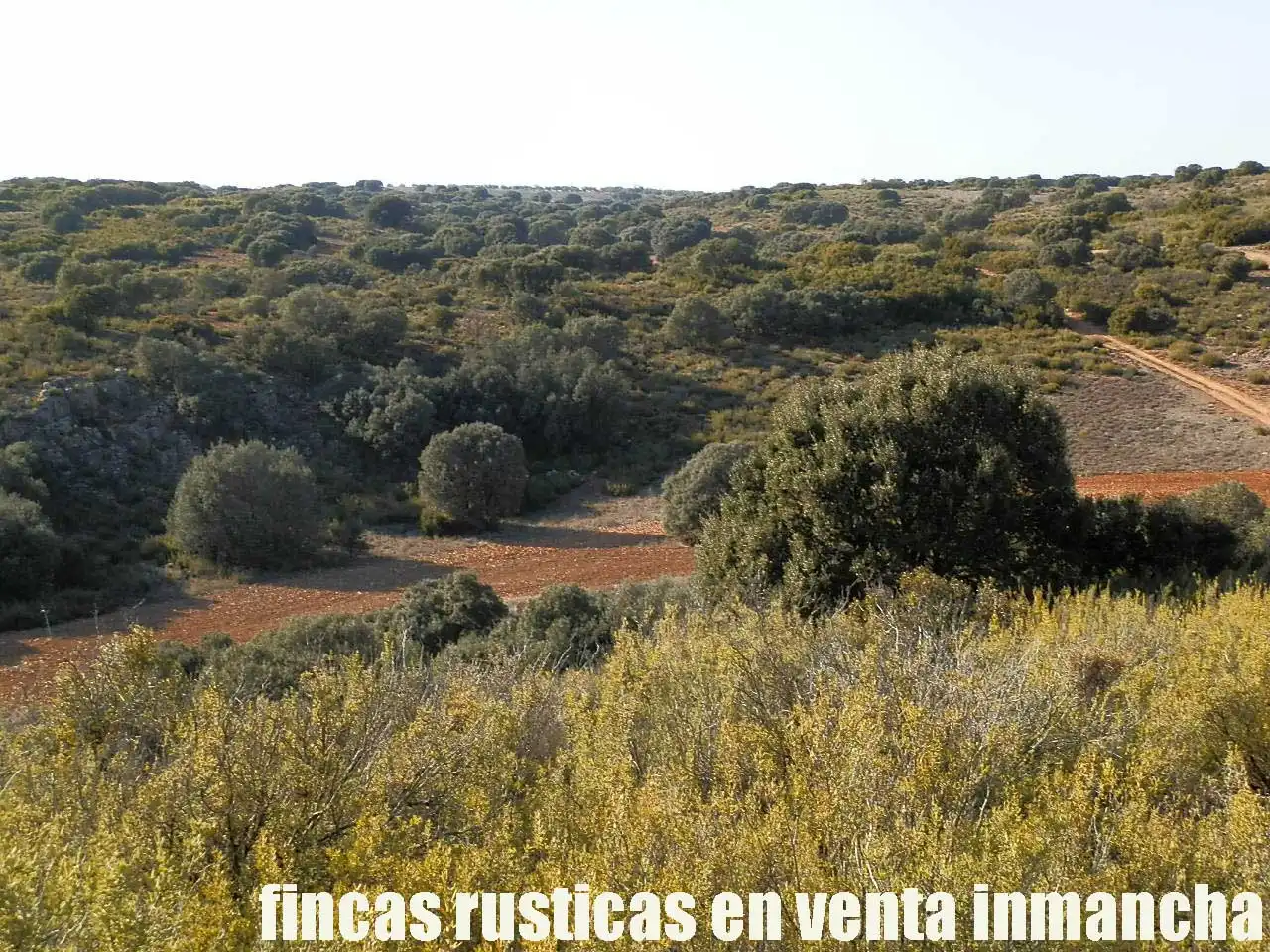Terreno rustico in vendita a Ruidera, imagen 7