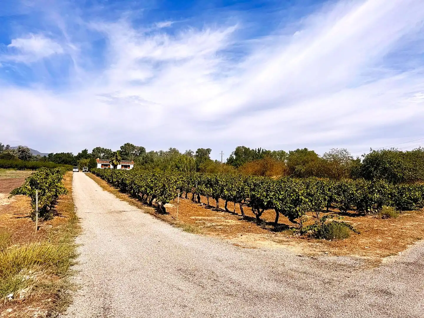 Casa o xalet en venda en Ginestar, Tarragona