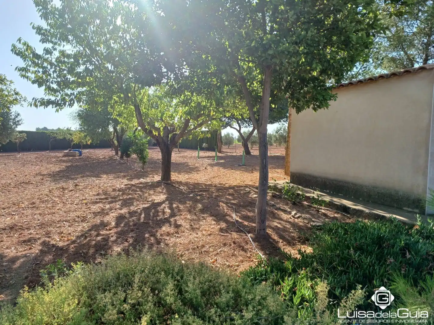 Terreno rustico in vendita a Campo de Criptana, imagen 8
