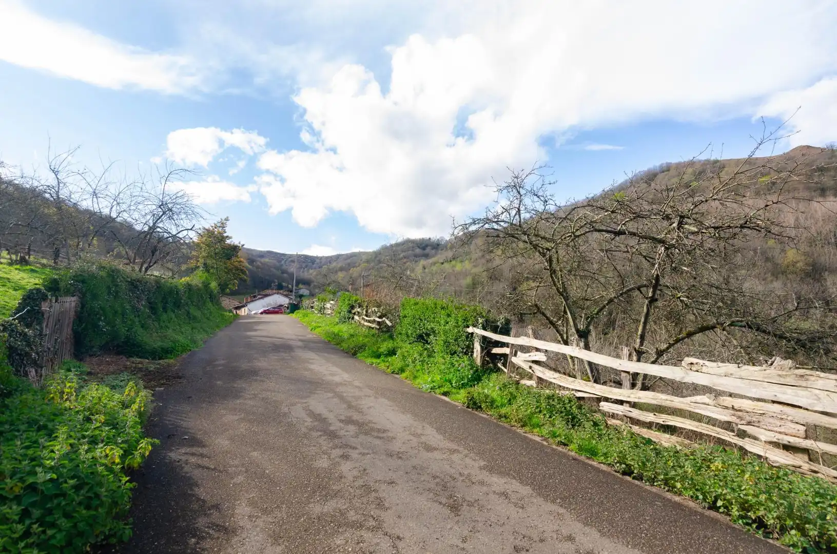 Exterior view of Land for sale in Riosa