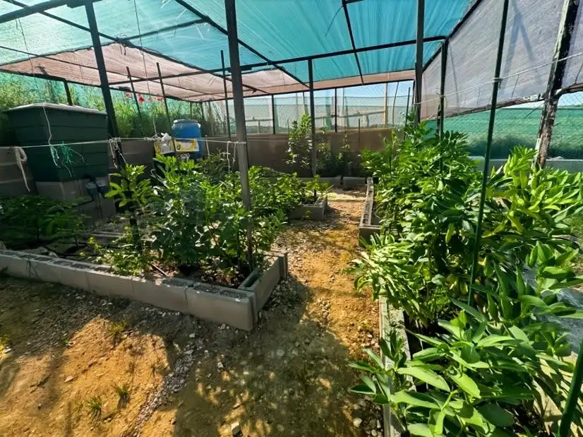 Jardín de Casa o chalet en venta en Hita