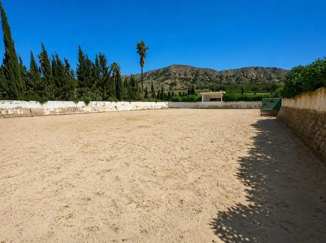 Villa à vendre à Novelda, imagen 42