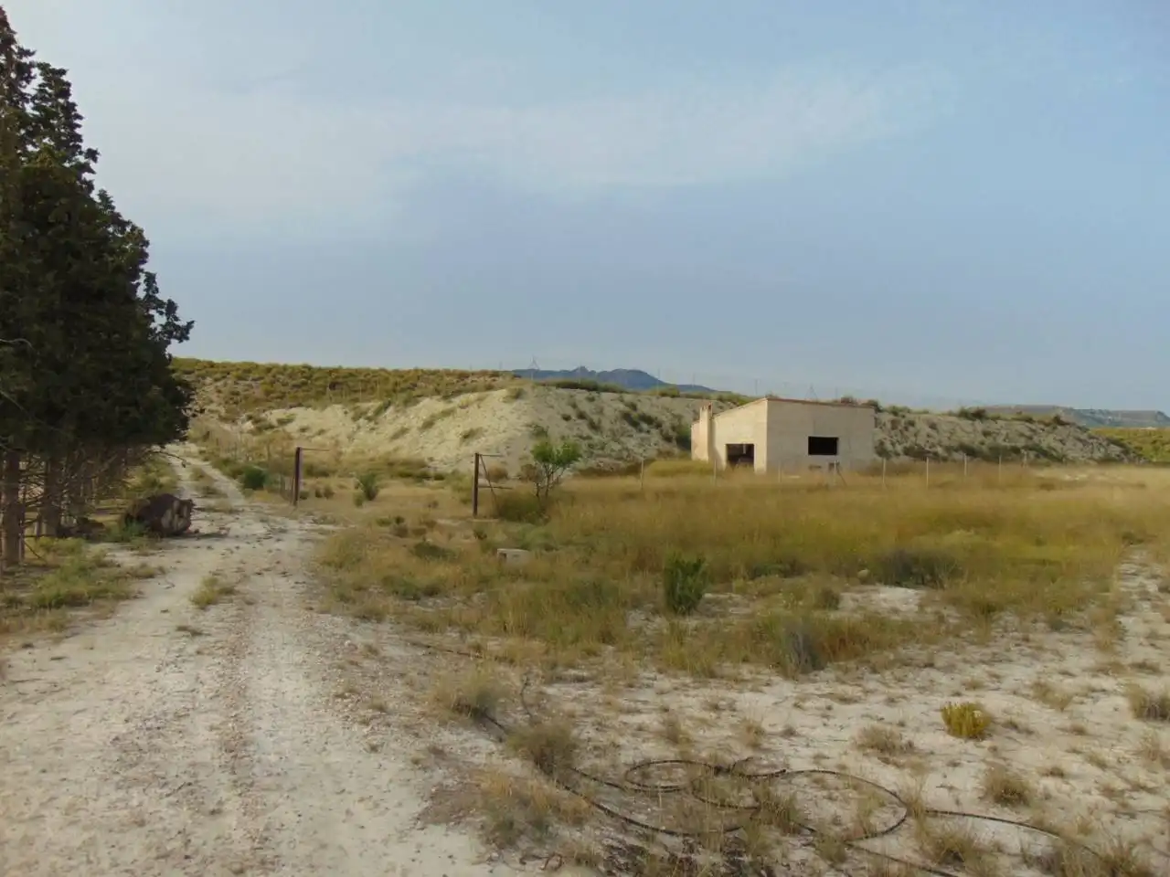 Lands and plots for sale in Calle Francisco Salzillo 21, imagen 2