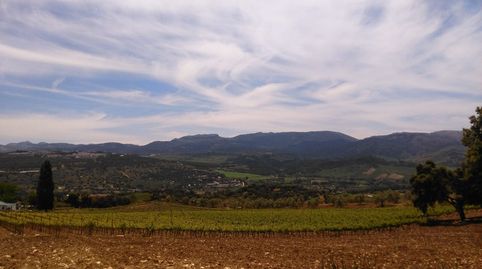 Finca de viñedos, imatge 3