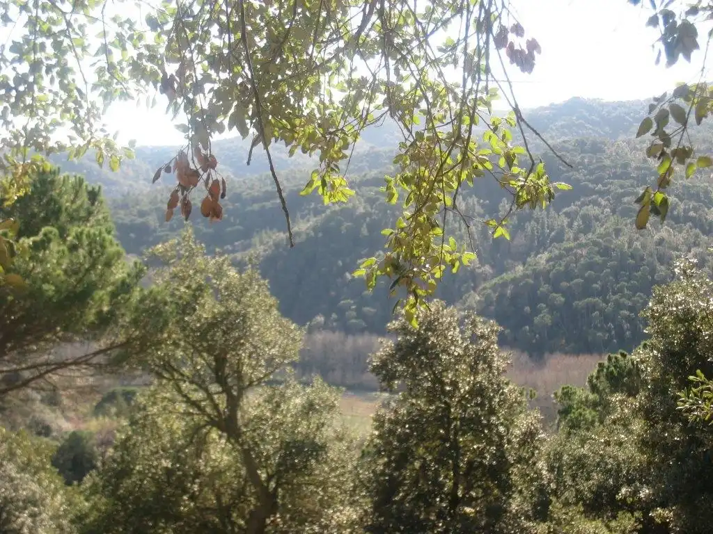 Terreno residencial en venta en Carrer Llobregat 37, imagen 2