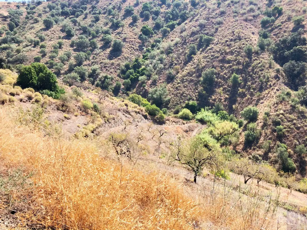 Terrenos y solares en venta en Sedella, imagen 4