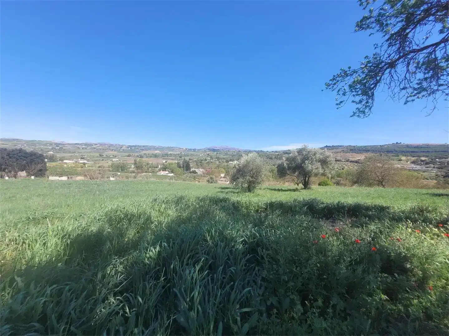 Finca rústica en venda en Ronda amb Piscina