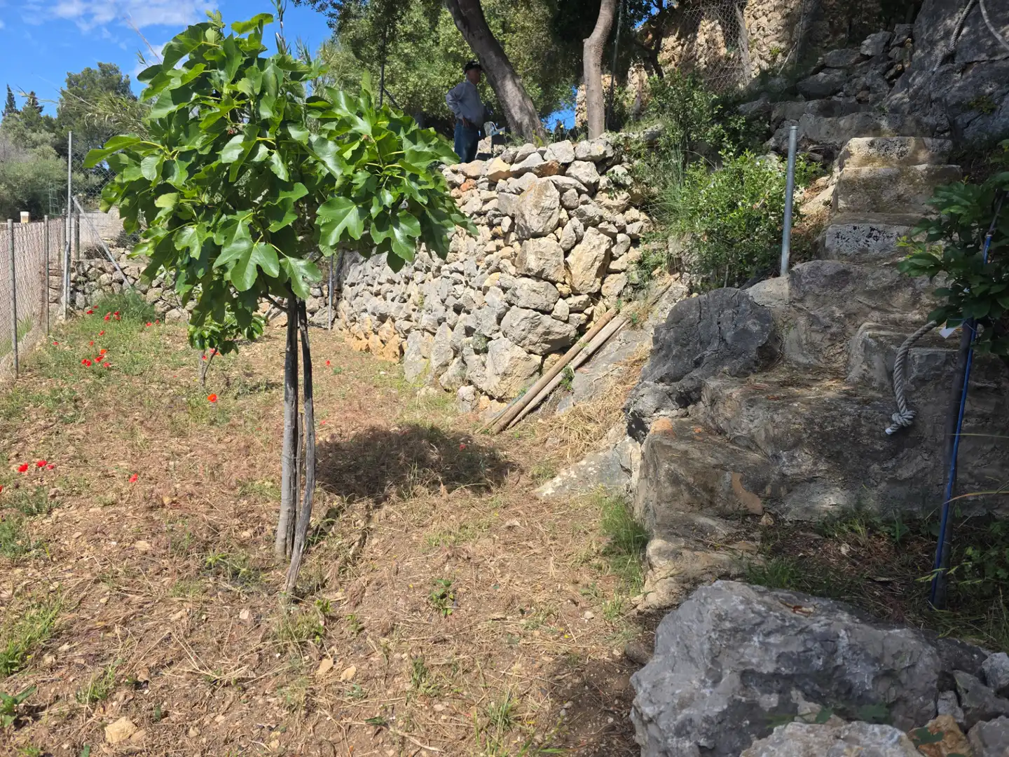 Casa o chalet en venta en Puigpunyent con Jardín privado