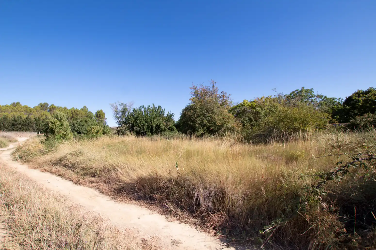 Land for sale in Tafalla - PARAJE MAKOTXA, Tafalla