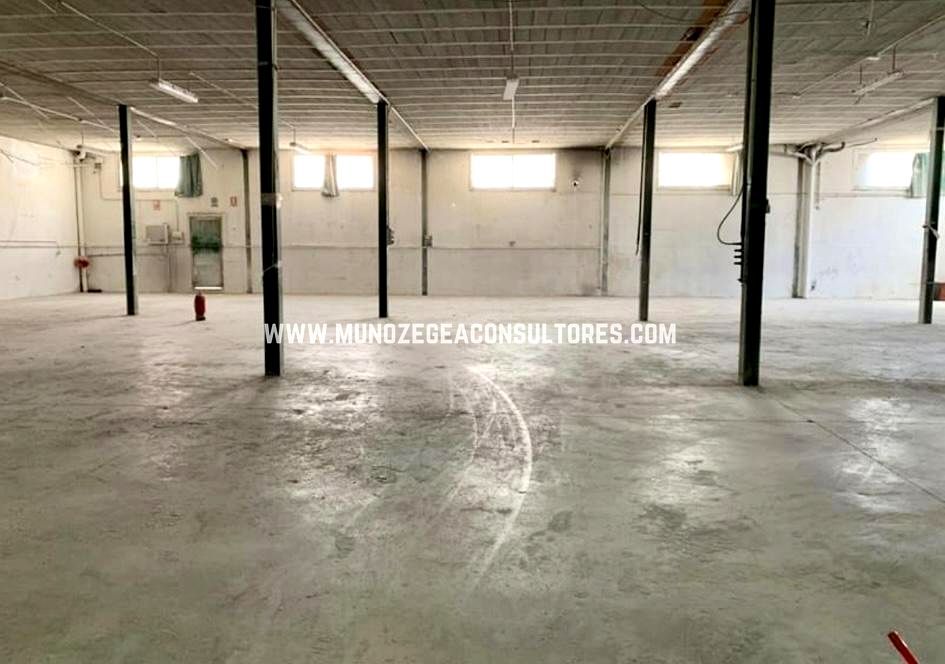 Nau industrial de lloguer en Lucena