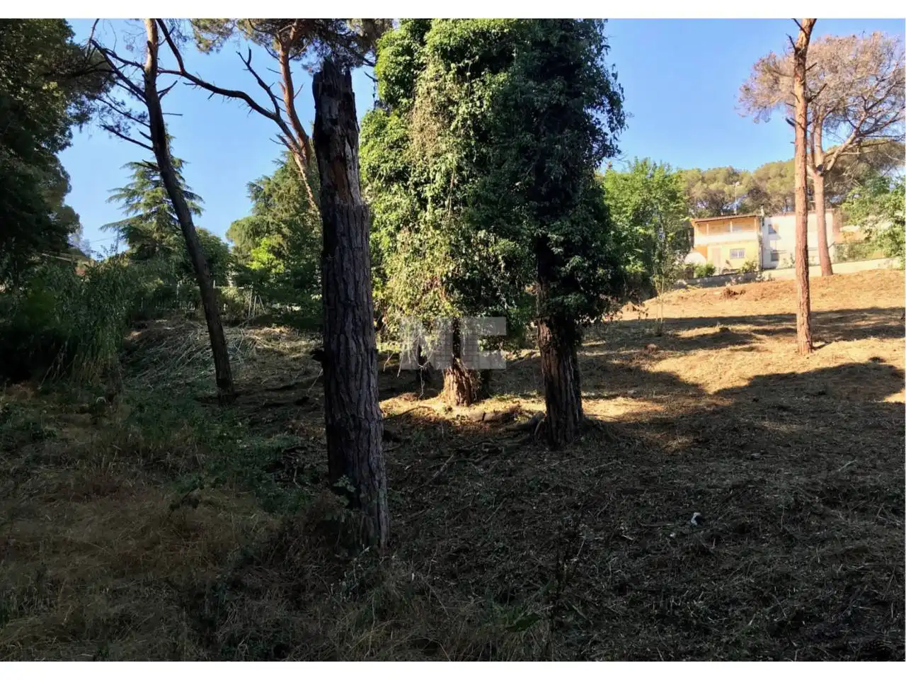 Rural land for sale in Calle RIBERA D´EBRE, imagen 6