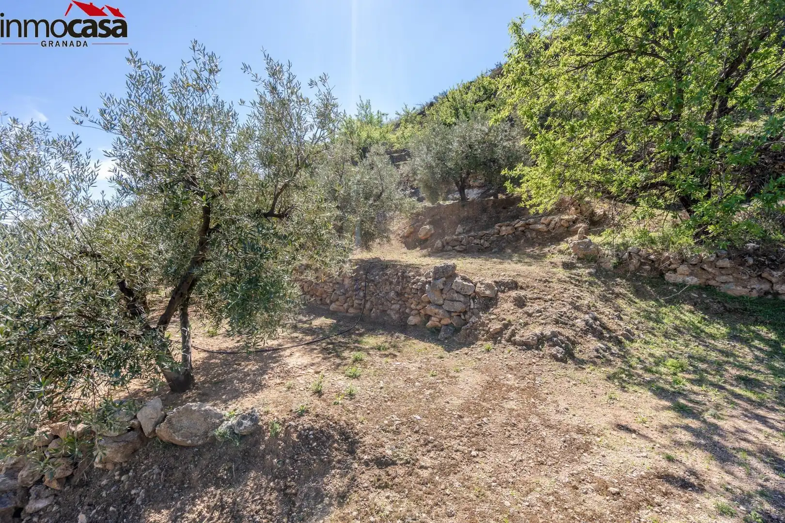 Land for sale in Lúcar