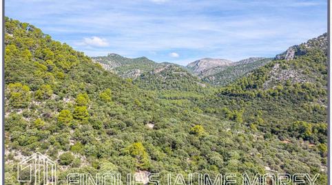 Foto 5 de Casa o xalet en venda a Camino Coma, Sn, Selva, Illes Balears