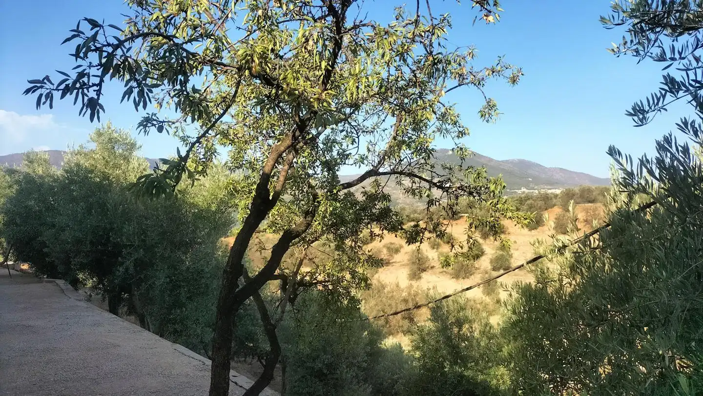 Casa rústica en venda a Camino de Albuñol - Pago de Mira 2, imagen 16