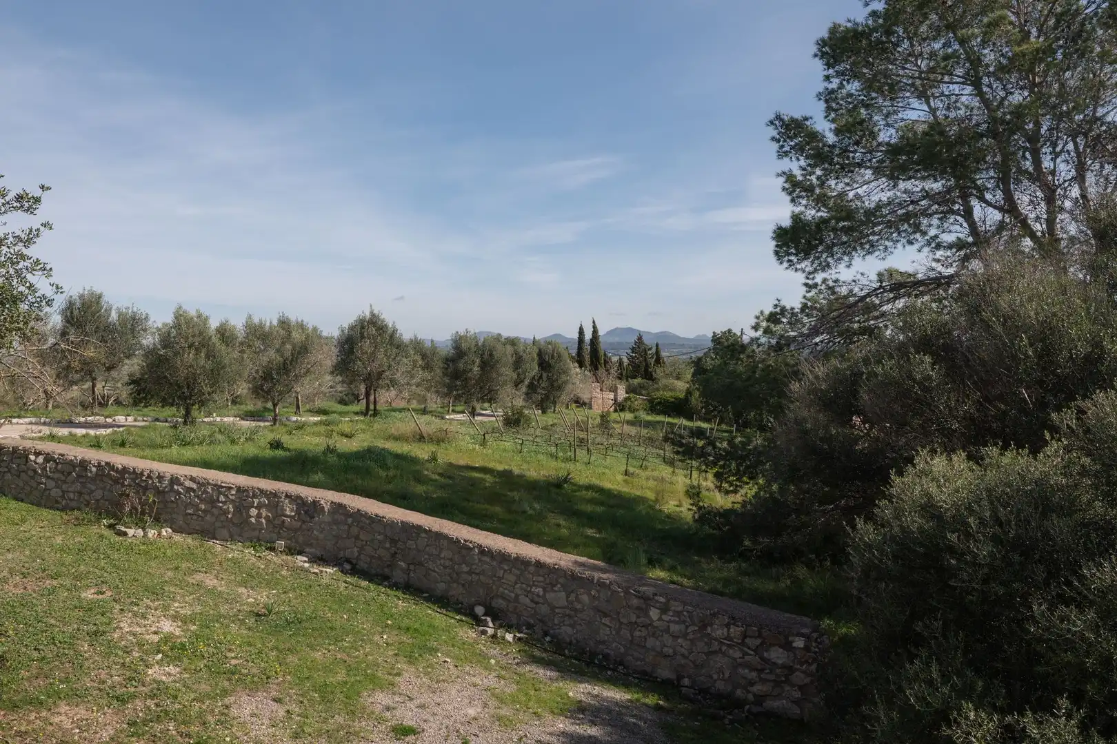 Casa o chalet en venta en Petra